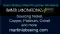 Martin Laboratories EMG (Energy Metals Group) Commences Exploration on Battery Metals Portfolio in Scandinavia