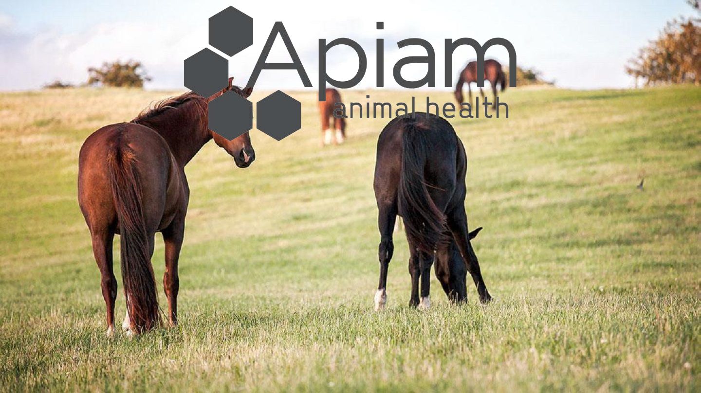 Announce Strategic Equine Clinic Acquisitions