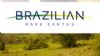 Brazilian Rare Earths Limited (ASX:BRE) Secures Key Export Approvals and Partnership with INB