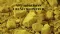 NEU Horizons Uranium Limited Commences Phase 1 Field Exploration in Sweden