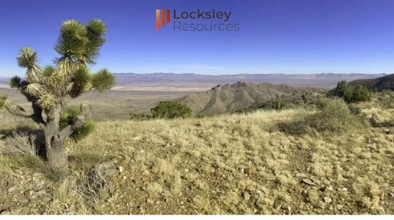 Strategic U.S. Collaboration Drive for Mojave Critical Minerals Project