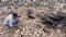 Locksley Resources Limited (ASX:LKY) Diamond Drill Rig Secured for REE Drilling at El Campo