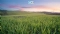 Environmental Clean Technologies Limited (ASX:ECT) Acquisition of Rice Universitys Flash Joule Heating Technology for PFAS