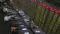 Asian Markets Overview of February 25