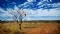 Prairie Downs Metals Limited (ASX:PDZ) Quarterly Report for the Period Ended 31 March 2009
