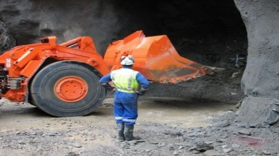 Pike River Coal Limited (NZE:PRC)