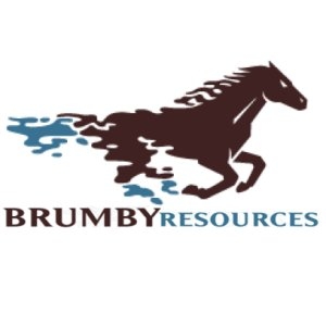 Brumby Resources Limited (ASX:BMY)