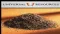 FINANCE VIDEO: Altona Mining (ASX:URL) MD Alistair Cowden Speaks at Sydney RIU Resources Round-up in Sydney, May 2010