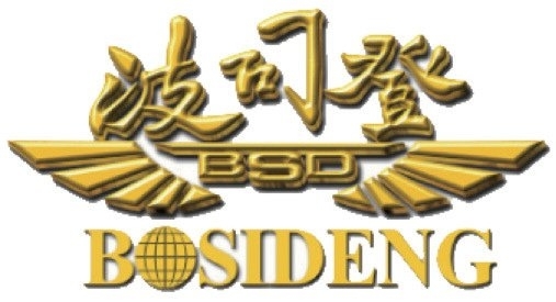 Bosideng International Holdings Limited (HKG:3998) Wins the 