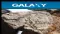 Galaxy Resources Limited (ASX:GXY) Extends Mt Cattlin Lithium Tenement Base