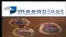 Mesoblast Limited (ASX:MSB) 2011 Chairman's Address and CEO's Presentation to Shareholders