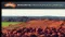 Bauxite Resources Limited (ASX:BAU) And Yankuang Corporation To Sign Agreement For Future Modern Alumina Refinery