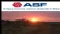 ASF Group Limited (ASX:AFA) Commence Coal Sales To China
