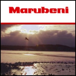 Japanese trading giant Marubeni Corp.(TYO:8002) has won a US$250 million contract to build one of the world's largest biomass and clean coal co-generation plants in Singapore.
