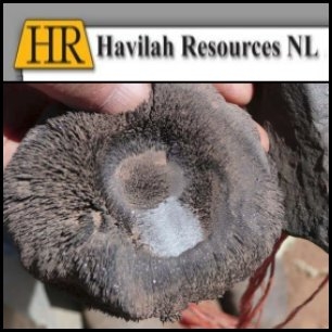 Havilah Resources NL (ASX:HAV) Releases Mutooroo Copper-Cobalt Deposit Resource Statement