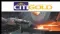 Australian Market Report of May 20, 2010: Citigold (ASX:CTO) Signs LOI with Henan Jinqu