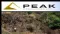 Peak Resources Limited (ASX:PEK) Appoints Mr. Dave Hammond As Executive Technical Director