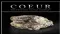 Coeur d'Alene Mines Corporation (ASX:CXC) Enters Into Contract with China National Gold