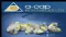 A-Cap (ASX:ACB) Signs MOU with Korea Resources Corporation
