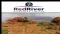 Red River Resources Limited (ASX:RVR) Quarterly Report April-June 2010