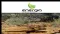 Australian Market Report of November 1, 2010: Energia Minerals (ASX:EMX) Launches New Uranium Drilling Campaign