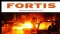 Australian Market Report of February 2, 2011: Fortis Mining (ASX:FMJ) Secures Strategic Hong Kong Investment And Partnership