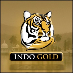 Indo Gold Limited Announce Attendance as Exhibitor at PDAC 2011, Toronto