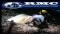 Resource Mining Corporation Limited (ASX:RMI) Quarterly Activities Report