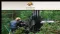 Asian Activities Report for May 27, 2011: Dragon Mining (ASX:DRA) Secures 100% Of The Svartliden Gold Mine In Sweden
