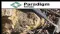 Paradigm Metals Limited (ASX:PDM) Discovered More Copper-Silver at Frogmore Project