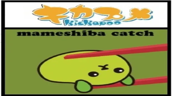 Launches the