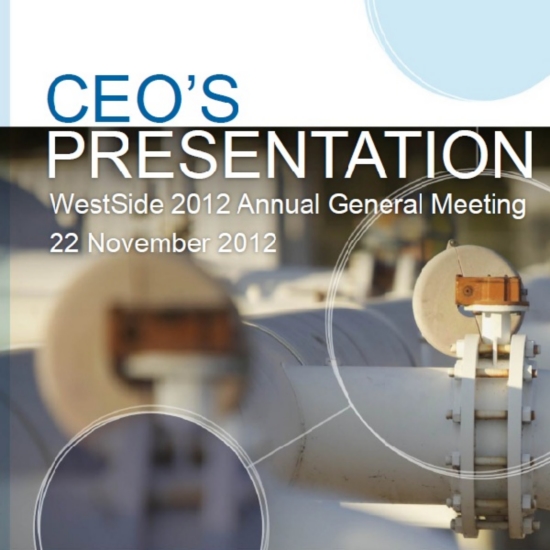 Annual General Meeting - CEO's Presentation