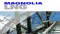 Liquefied Natural Gas Ltd (ASX:LNG) Magnolia Supplemental Final Environmental Impact Statement