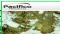 Pacifico Minerals Limited (ASX:PMY) Releases Updated Research Note