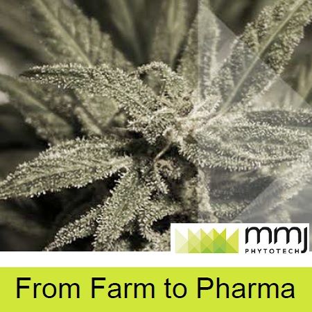 MMJ PhytoTech Ltd ASX MMJ