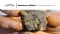 White Cliff Minerals Ltd (ASX:WCN) Quarterly Report for the Period Ended 30 September 2016