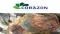 Corazon Mining Ltd (ASX:CZN) Share Purchase Plan Closed