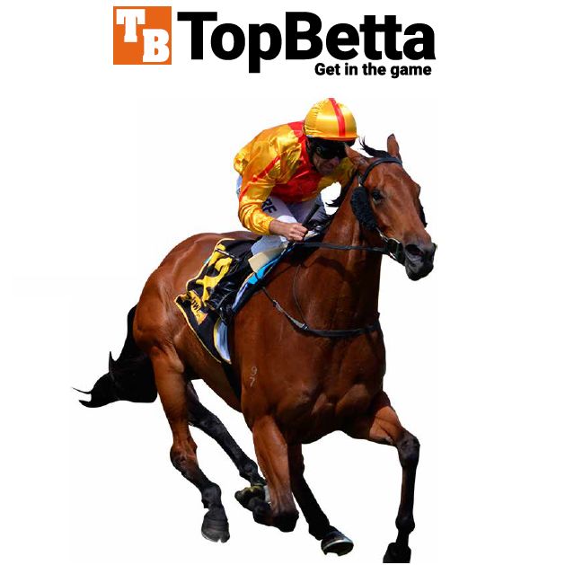 TopBetta acquires assets of online bookmaker, Mad Bookie