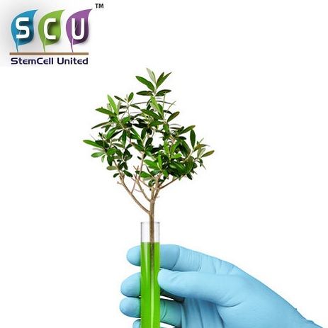 SCU Appoints Nevil Schoenmakers as Strategic Advisor to Pursue Opportunities in Medicinal Cannabis Sector