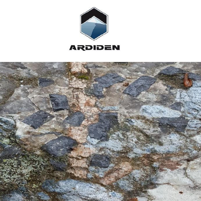 Ardidens Successful Capital Raising