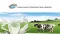 China Dairy Corp Ltd (ASX:CDC) Quarterly Trading Update Ending 31 March 2017
