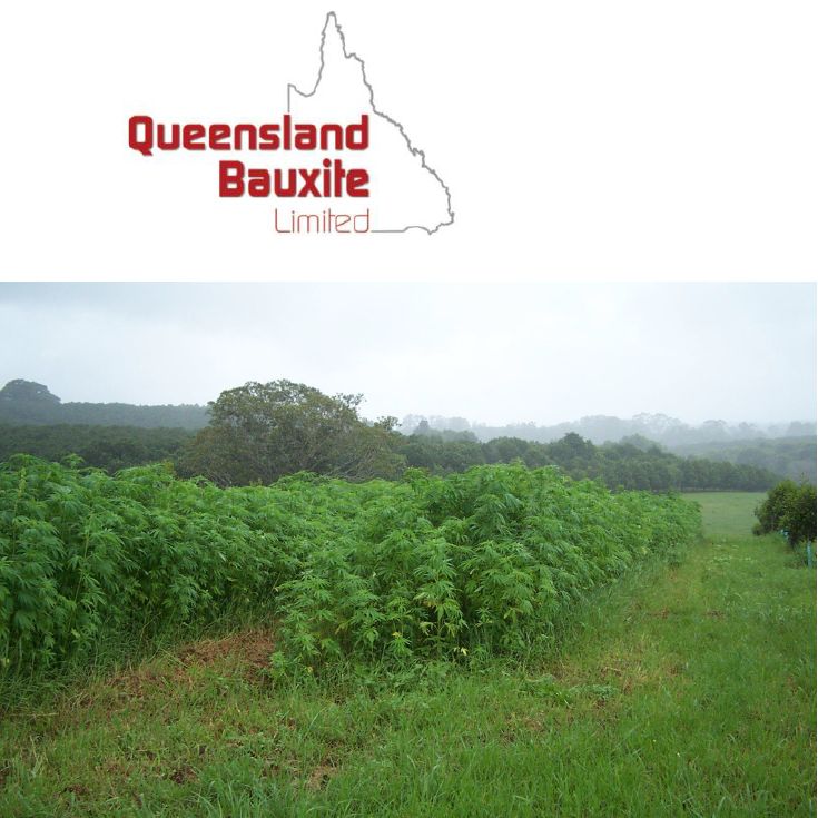 Australias largest hemp food production underway