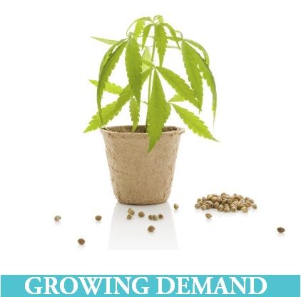 Growing Demand For CBD Based Products