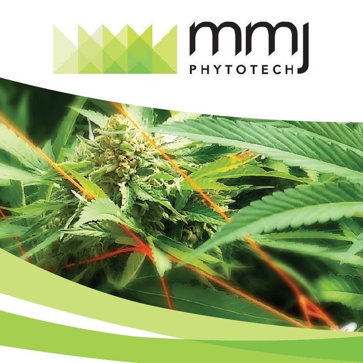 MMJ to Acquire Strategic Position in Dosecann Inc