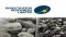 Investigator Resources Ltd (ASX:IVR) Appointment of Joint Company Secretary