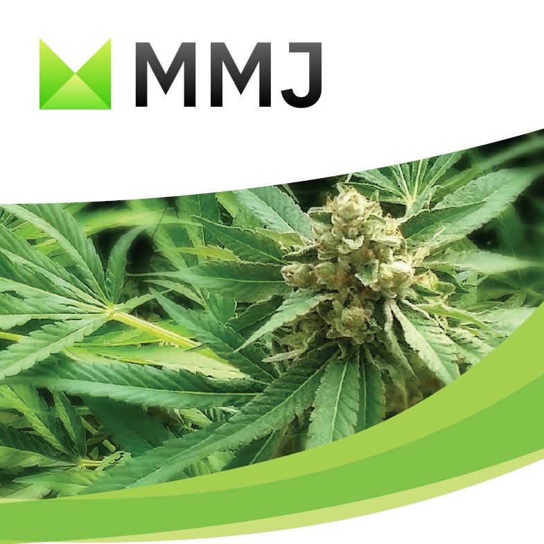 MMJ Embark Ventures Presentation