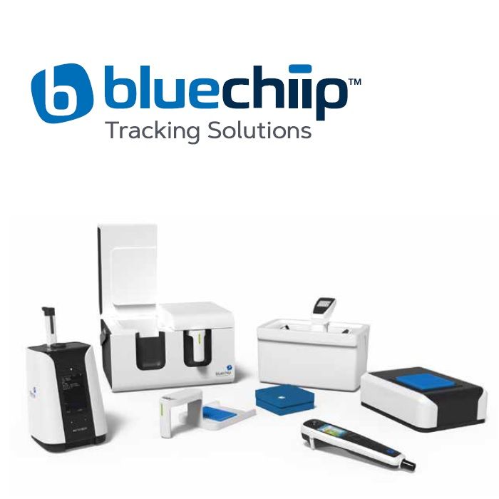 Bluechiip raises $4.6M and announces SPP