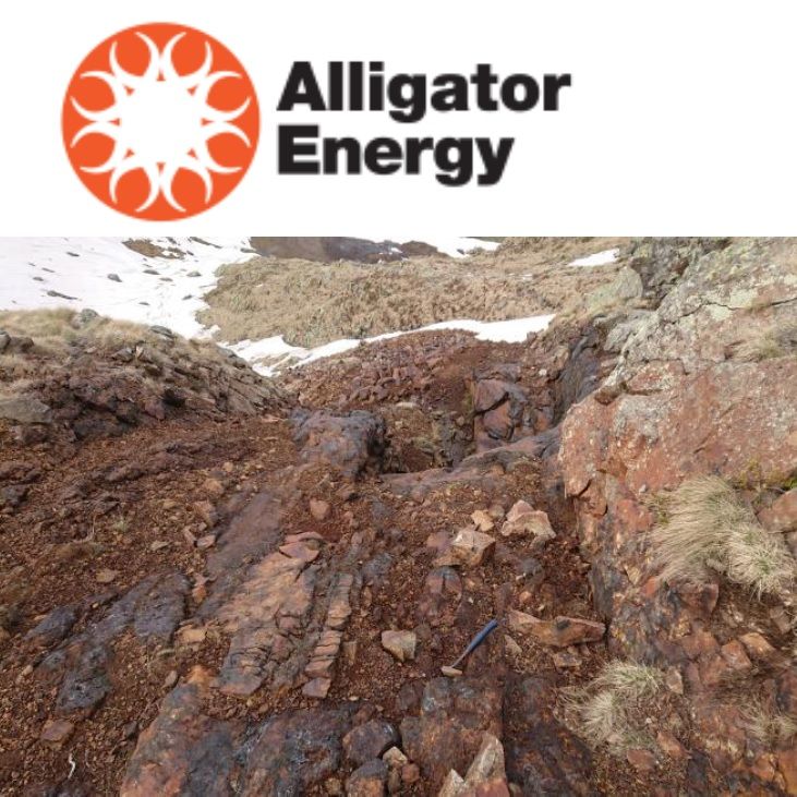 First Piedmont Assays Confirm Significant Ni Co Mineralisation with Grades up to 2.5% Ni and 0.17% Co.