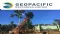 FINANCE VIDEO: Geopacific Resources Ltd (ASX:GPR) Management Update on Woodlark Gold Project
