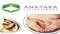 Anatara Lifesciences Ltd (ASX:ANR) Non-Executive Director Appointment
